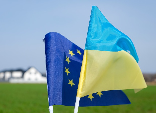 Депутат ЕП Гал: Украина не готова к вступлению в Евросоюз