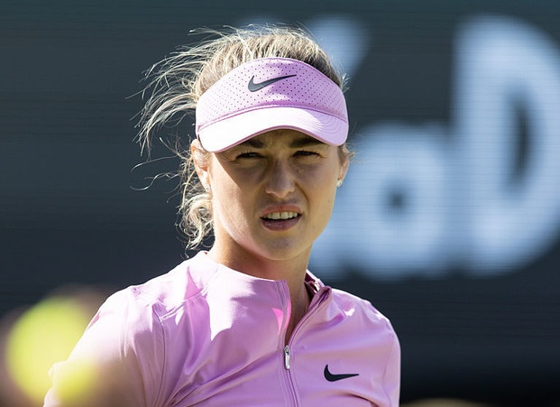 Калинская не смогла завершить матч с украинкой Свитолиной на старте турнира WTA в Берлине